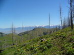 Image 2 in Sal Mountain photo album.