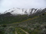 Image 14 in Santa Rosa Mountains photo album.