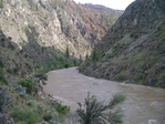Album image for The Middle Fork