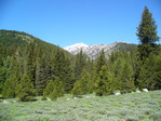 Image 8 in Two Point Mountain photo album.