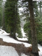 Image 3 in Bald Mountain (Owyhees) photo album.