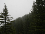 Image 4 in Bald Mountain (Owyhees) photo album.