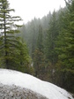 Image 5 in Bald Mountain (Owyhees) photo album.