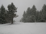 Image 9 in Bald Mountain (Owyhees) photo album.