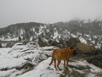 Image 13 in Bald Mountain (Owyhees) photo album.