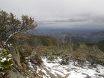Image 20 in Bald Mountain (Owyhees) photo album.