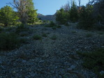 Image 1 in Lost River Mountain photo album.