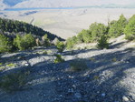 Image 6 in Lost River Mountain photo album.