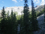 Image 5 in Mount Idaho photo album.