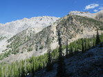 Image 8 in Mount Idaho photo album.