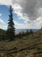 Image 94 in Mount Idaho photo album.