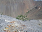 Image 126 in Sacajawea Peak photo album.