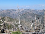 Image 130 in Big Baldy Ridge photo album.