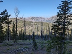 Image 300 in Big Baldy Ridge photo album.