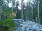 Image 392 in Bighorn Crags photo album.