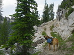 Image 503 in Bighorn Crags photo album.