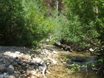 Image 55 in Pistol Creek to Soldier Creek photo album.