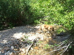 Image 56 in Pistol Creek to Soldier Creek photo album.