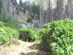 Image 83 in Pistol Creek to Soldier Creek photo album.