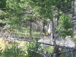 Image 94 in Pistol Creek to Soldier Creek photo album.