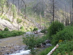 Image 97 in Pistol Creek to Soldier Creek photo album.