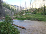 Image 98 in Pistol Creek to Soldier Creek photo album.