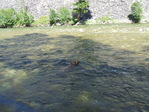 Image 129 in Pistol Creek to Soldier Creek photo album.