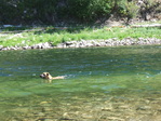 Image 164 in Pistol Creek to Soldier Creek photo album.