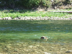 Image 165 in Pistol Creek to Soldier Creek photo album.