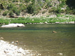 Image 172 in Pistol Creek to Soldier Creek photo album.