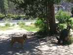 Image 224 in Pistol Creek to Soldier Creek photo album.