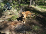 Image 299 in Pistol Creek to Soldier Creek photo album.