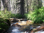 Image 311 in Pistol Creek to Soldier Creek photo album.