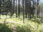 Image 326 in Pistol Creek to Soldier Creek photo album.