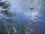 Image 381 in Pistol Creek to Soldier Creek photo album.