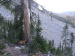 Image 406 in Pistol Creek to Soldier Creek photo album.