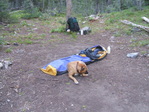 Image 510 in Pistol Creek to Soldier Creek photo album.