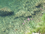 Image 529 in Pistol Creek to Soldier Creek photo album.