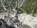 Image 544 in Pistol Creek to Soldier Creek photo album.