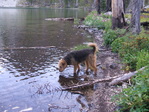 Image 574 in Pistol Creek to Soldier Creek photo album.